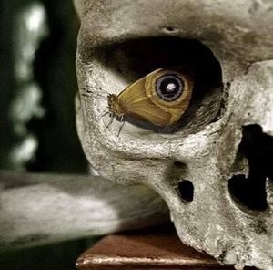 Meet your Posher, Cathy